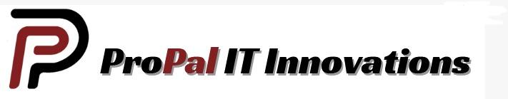 ProPal IT Innovation